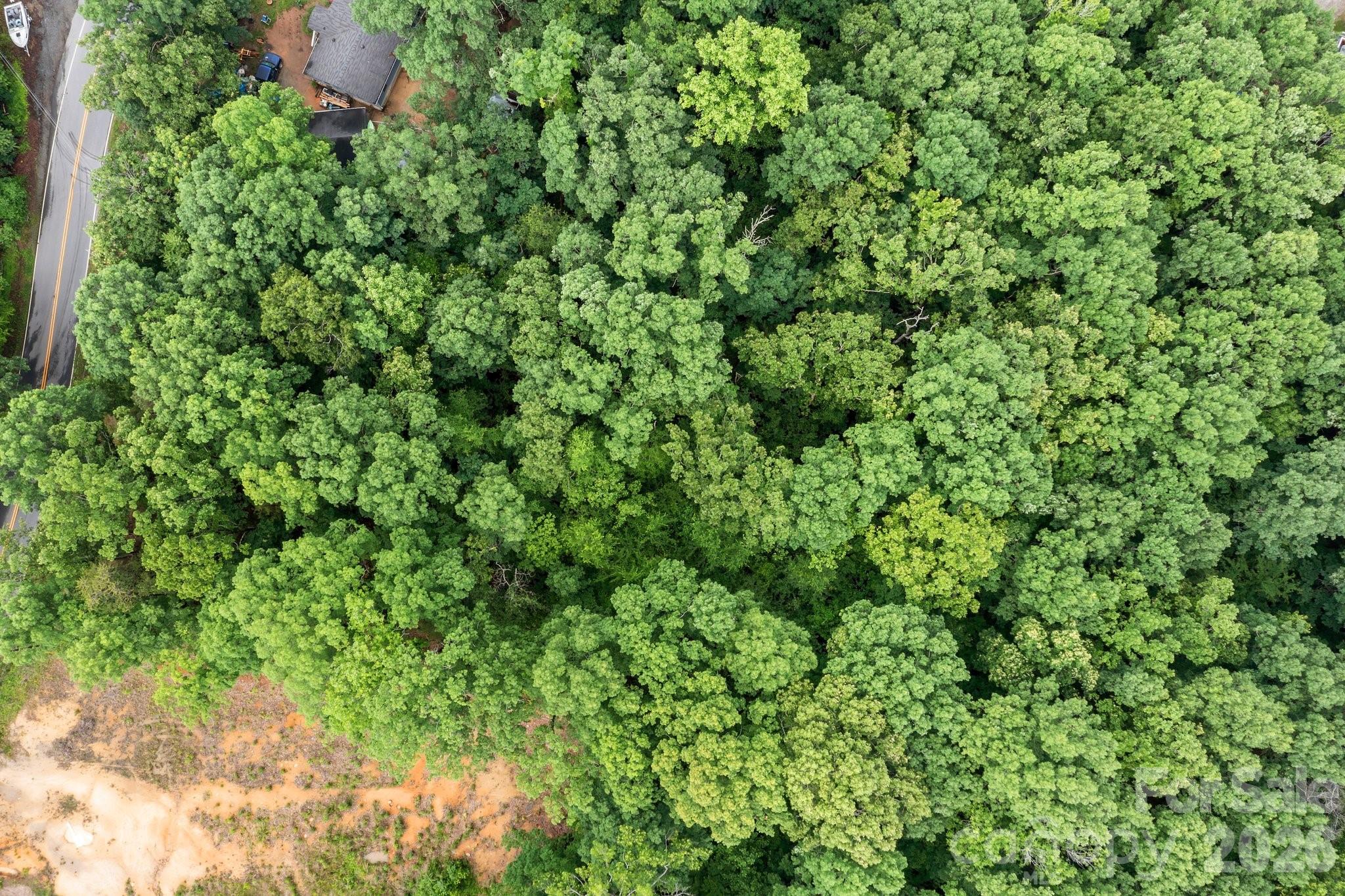 1607 Hart Road Charlotte, NC 28214 - Photo 3 of 16