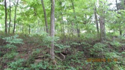 0 Lebanon Road Bagdad, KY 40003 - Photo 17 of 22 Photo 17