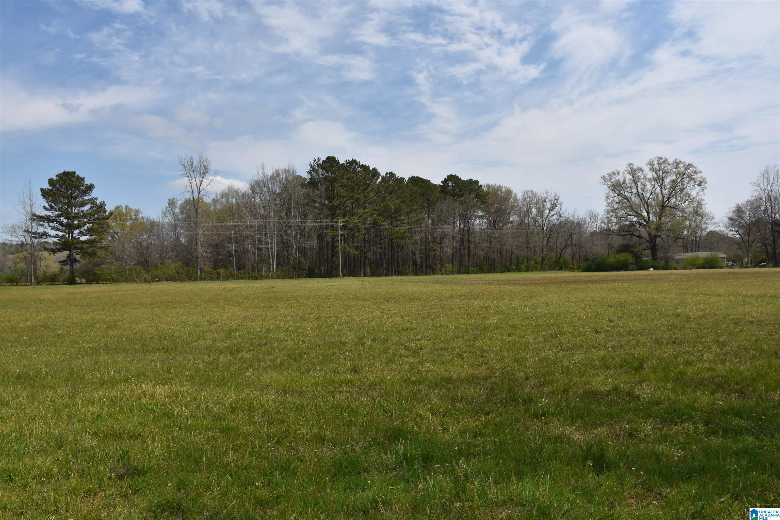 2323 Motes Road Sylacauga, AL 35150 - Photo 4 of 6