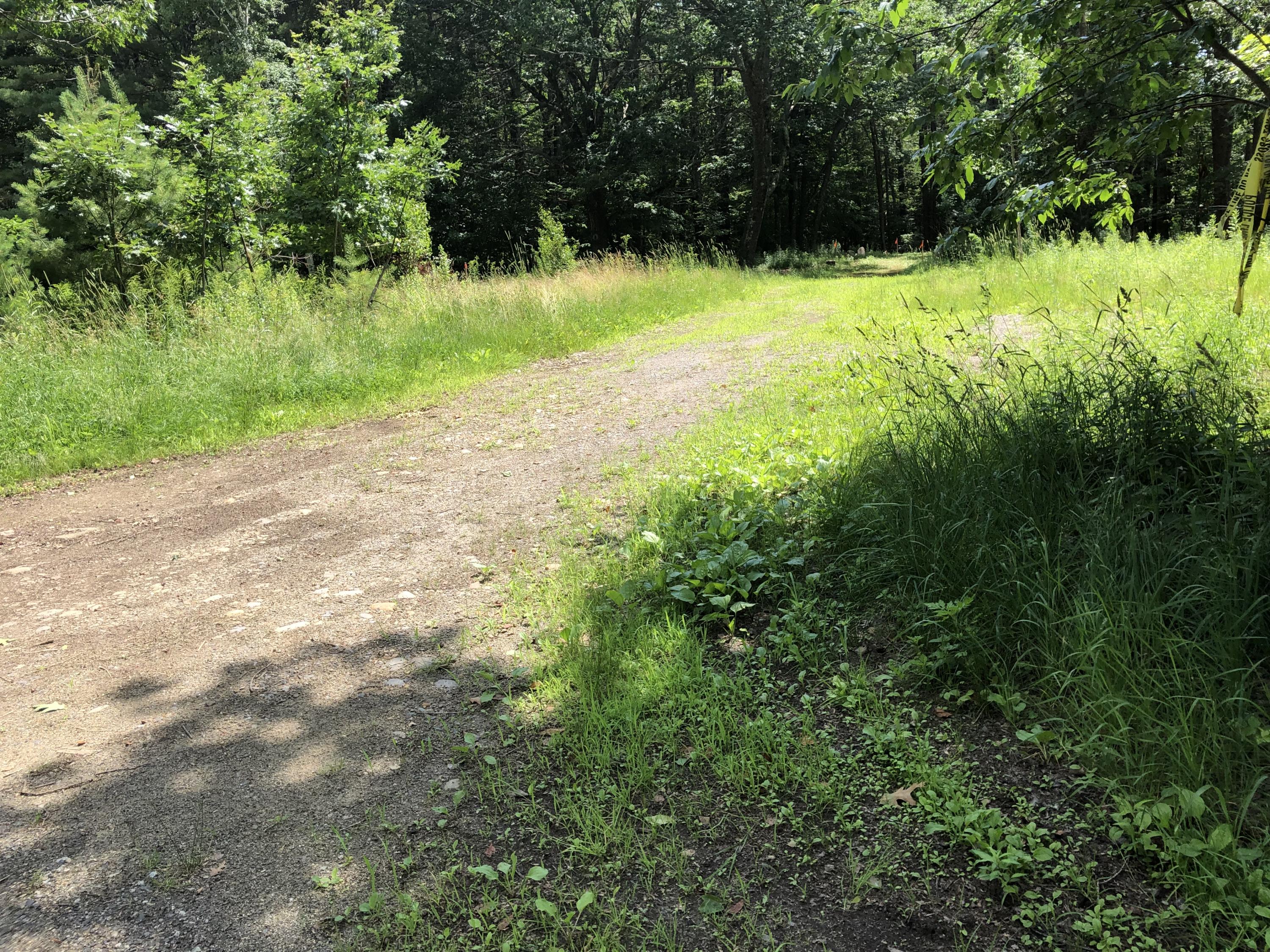 294 Mountain Road Cape Neddick, ME 03902 - Photo 1 of 6 43C7B38F-3568-4FEF-92BC-C9346D238395