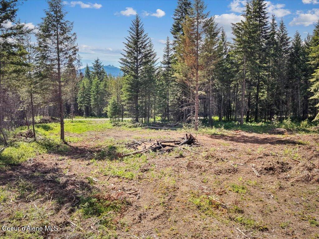 Nka West Sturgeon Road Rathdrum, ID 83858 - Photo 21 of 21 21-021_Aerial View