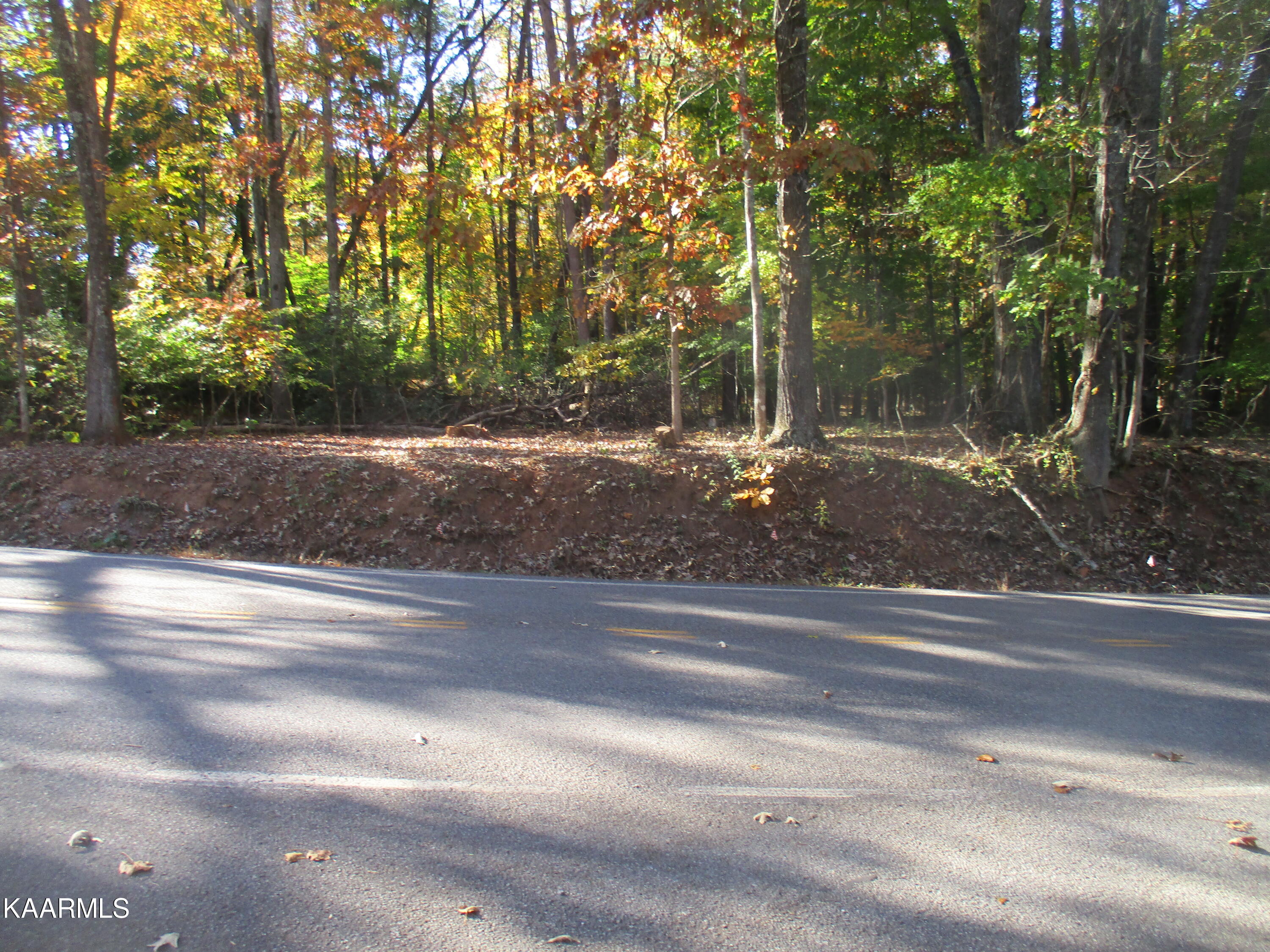 1765 Duncan Road Knoxville, TN 37919 - Photo 1 of 4 IMG_4108