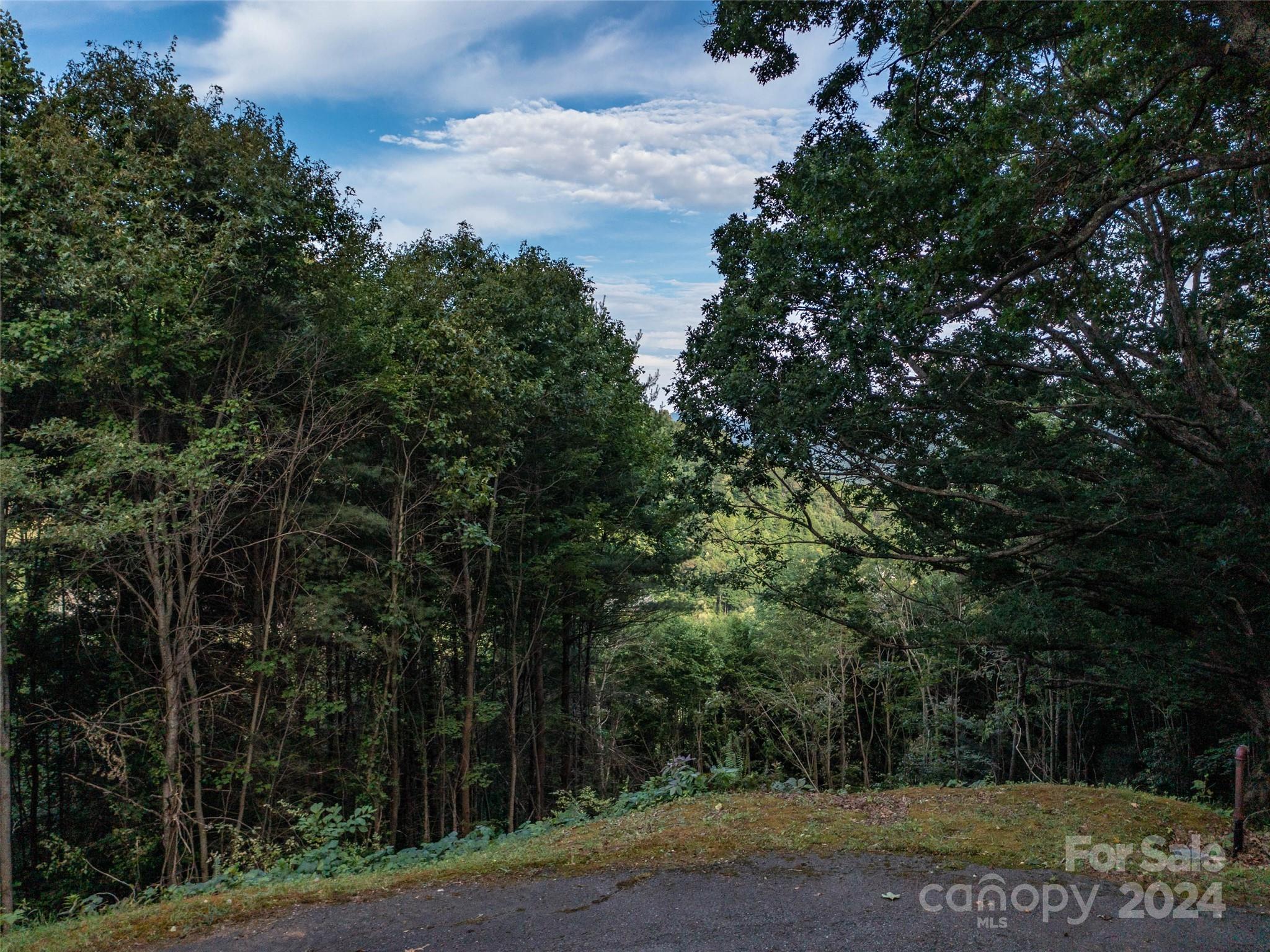 Tbd Rimesdale Way Waynesville, NC 28785 - Photo 11 of 24 a view of a yard with large trees