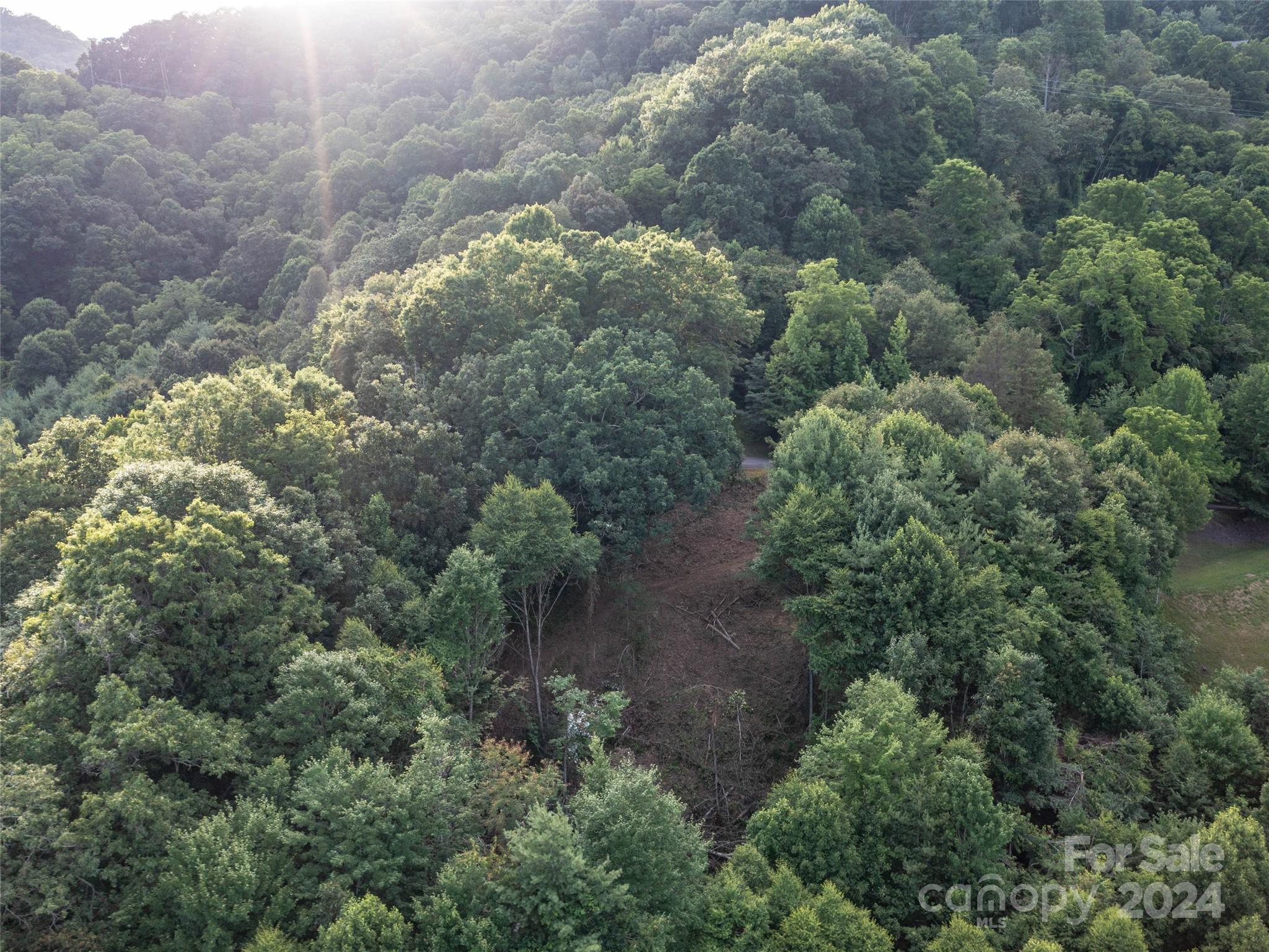 Tbd Rimesdale Way Waynesville, NC 28785 - Photo 20 of 24 an aerial view of residential house with outdoor space and trees all around