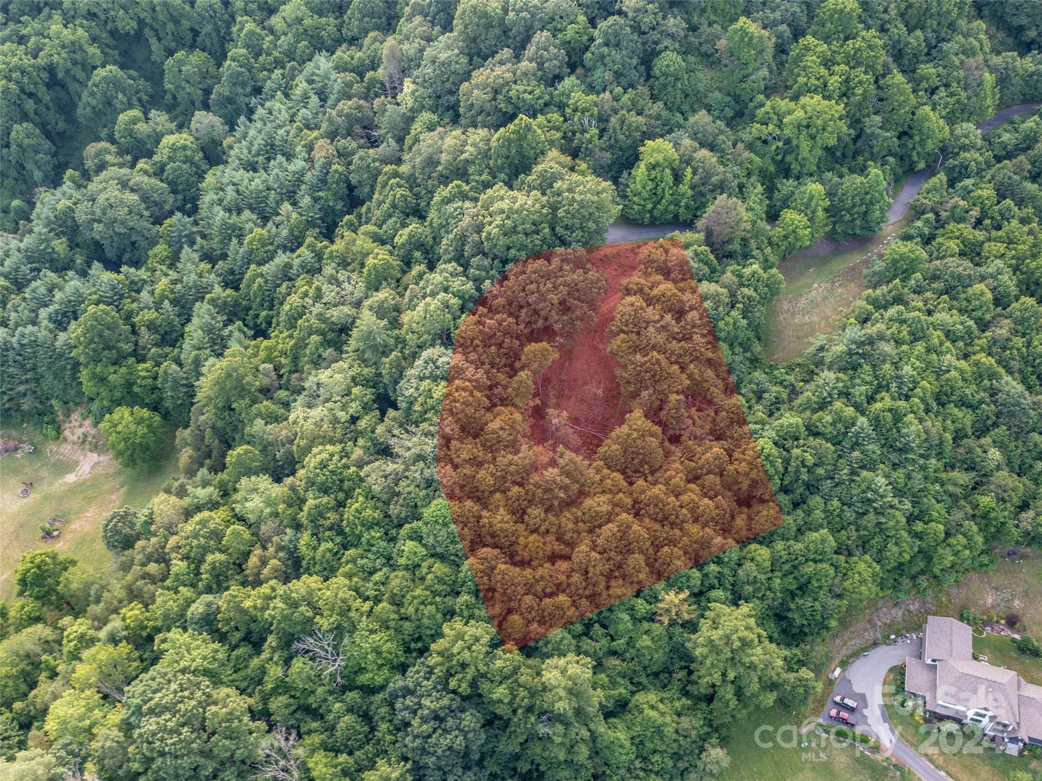 Tbd Rimesdale Way Waynesville, NC 28785 - Photo 2 of 24 a view of a lush green forest