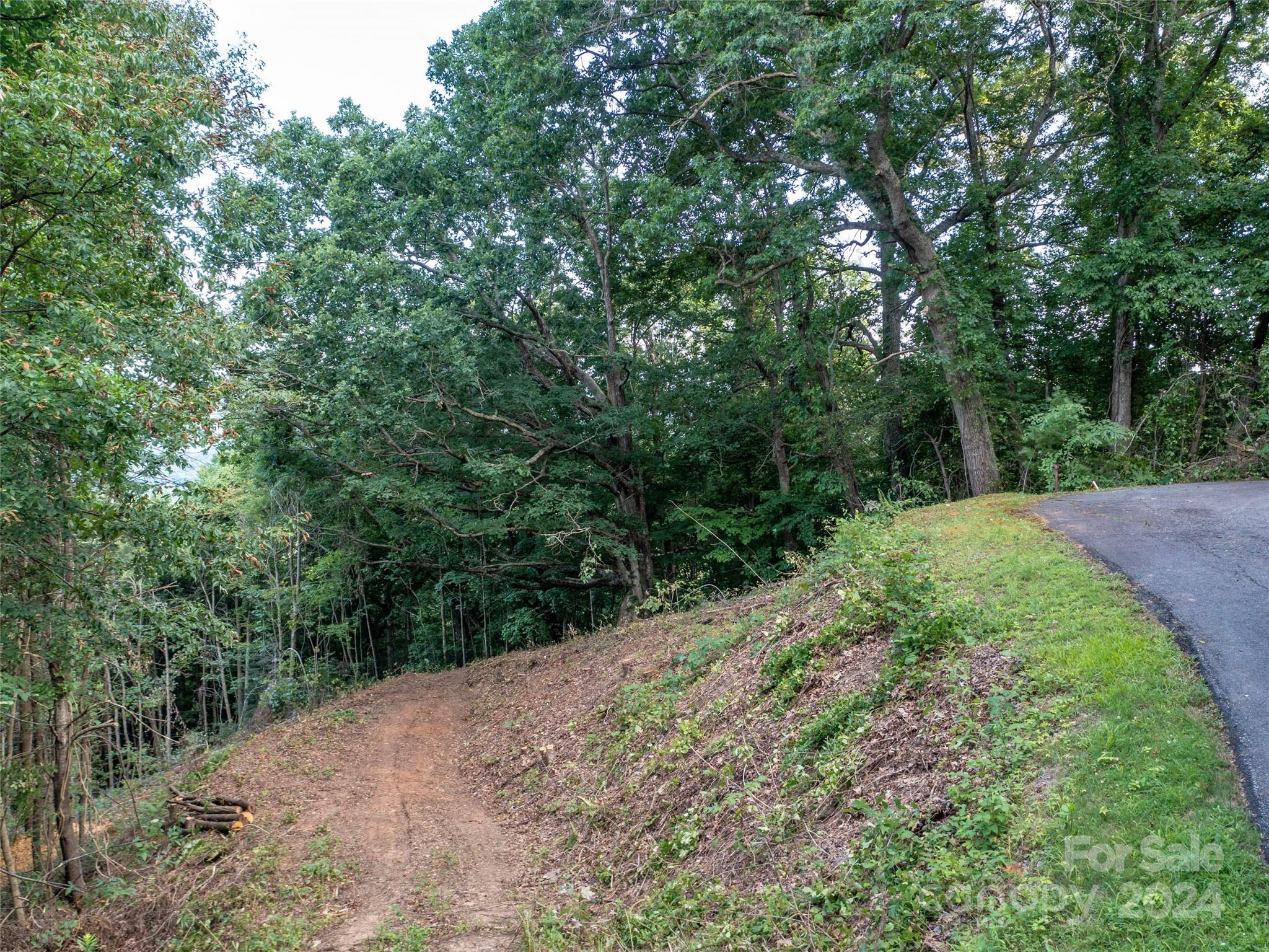 Tbd Rimesdale Way Waynesville, NC 28785 - Photo 21 of 24 a view of a road with a trees in the background