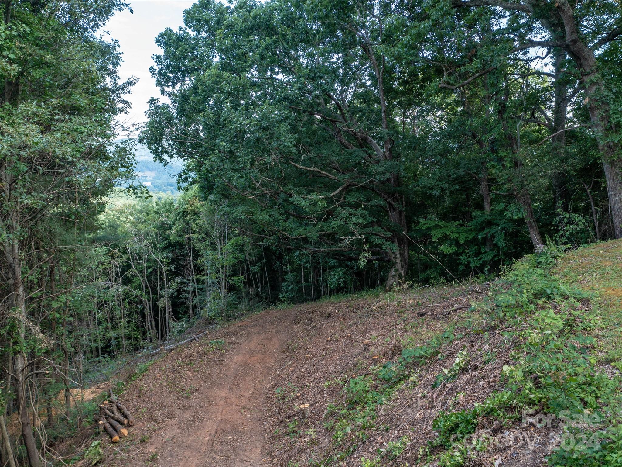 Tbd Rimesdale Way Waynesville, NC 28785 - Photo 22 of 24 a view of a forest with trees in the background