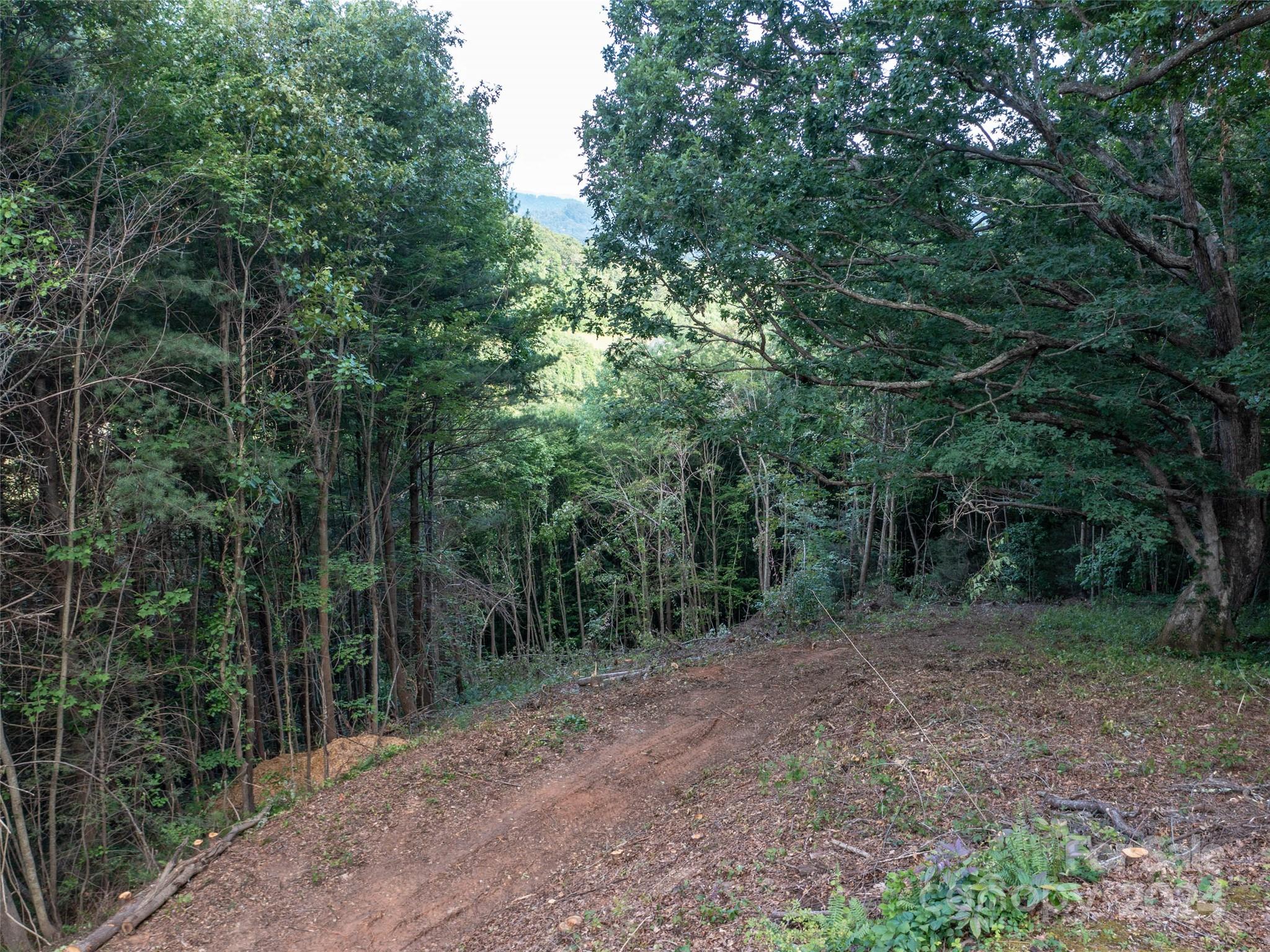 Tbd Rimesdale Way Waynesville, NC 28785 - Photo 23 of 24 a view of a forest with trees in the background