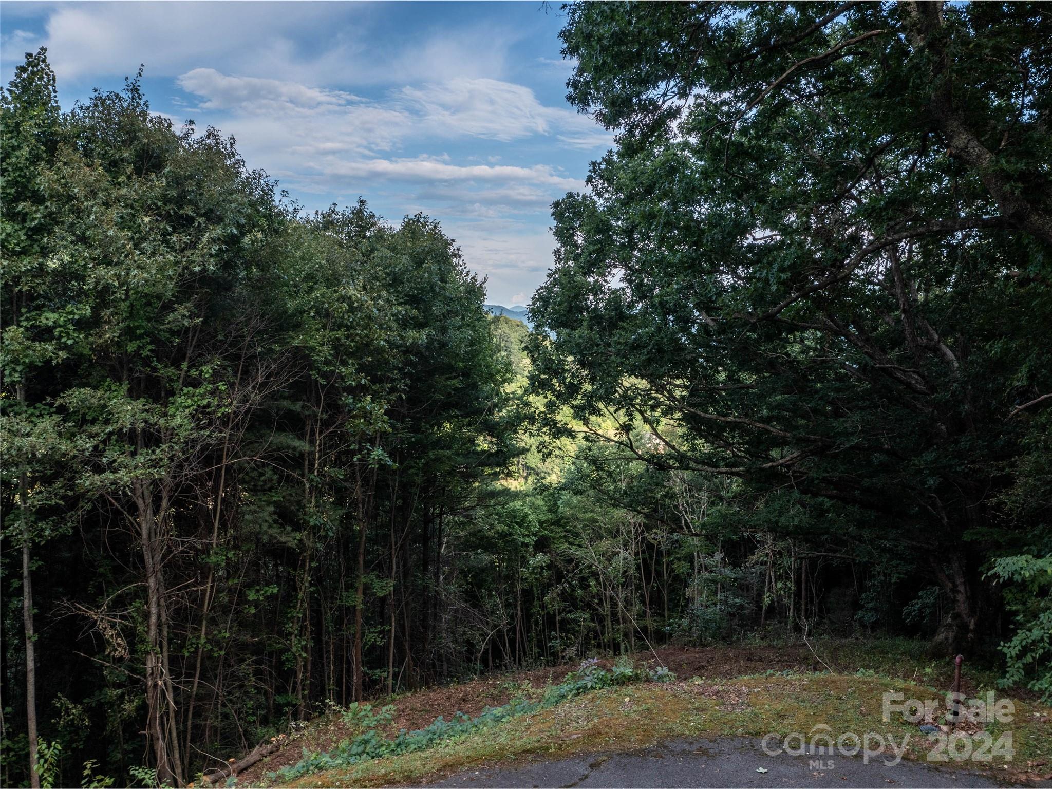 Tbd Rimesdale Way Waynesville, NC 28785 - Photo 24 of 24 a view of a yard with plants and large trees