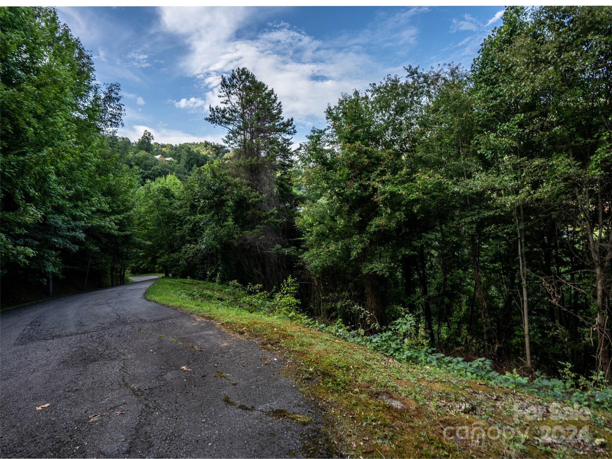 Tbd Rimesdale Way Waynesville, NC 28785 - Photo 7 of 24 a view of outdoor space and yard