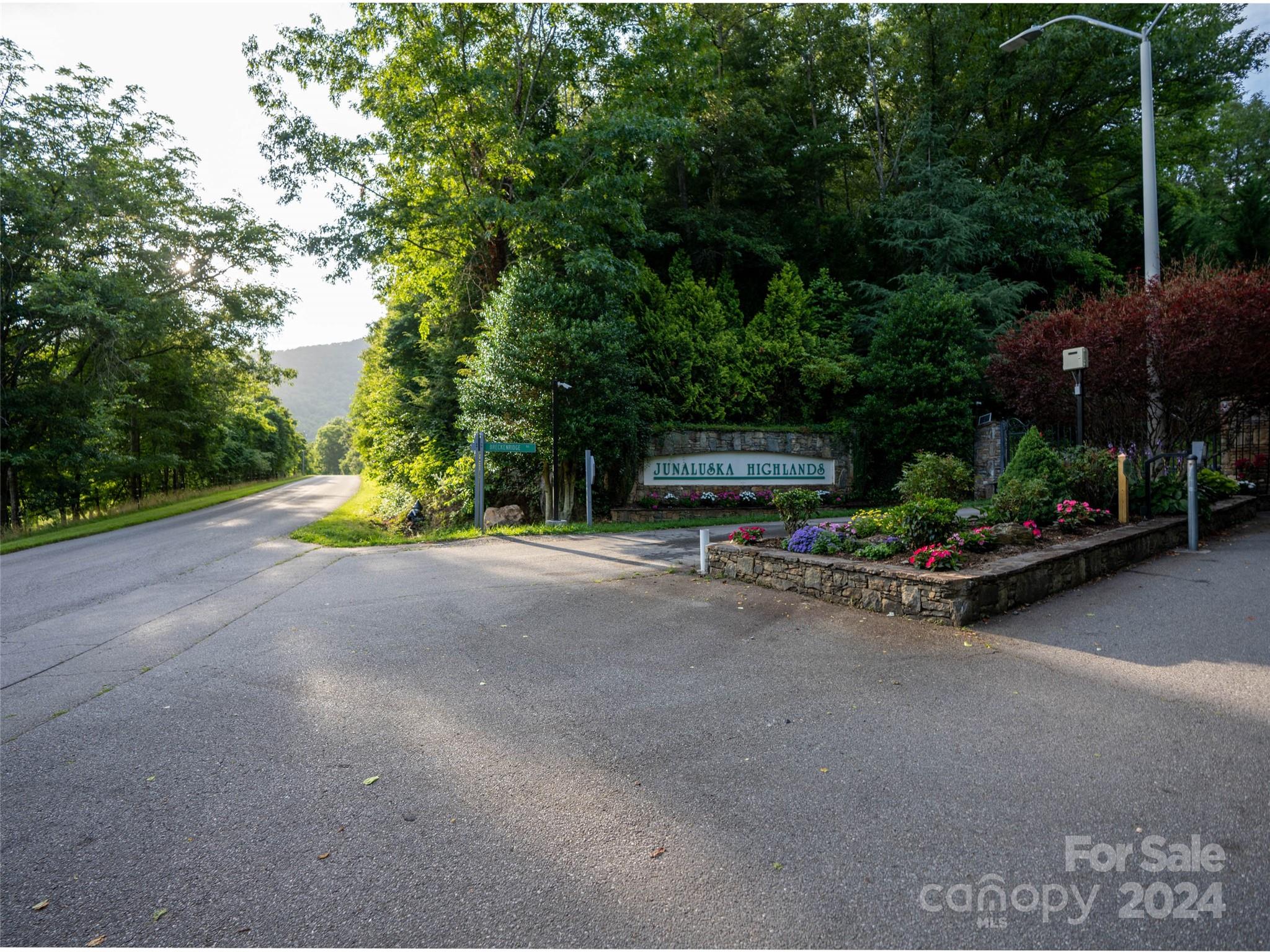 Tbd Rimesdale Way Waynesville, NC 28785 - Photo 9 of 24 a view of a street with some trees
