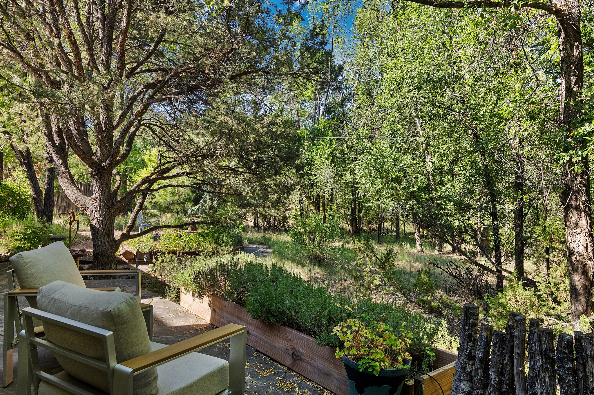 1330 Bishops Lodge Road Santa Fe, NM 87506 - Photo 13 of 54 Patio off of Living Room