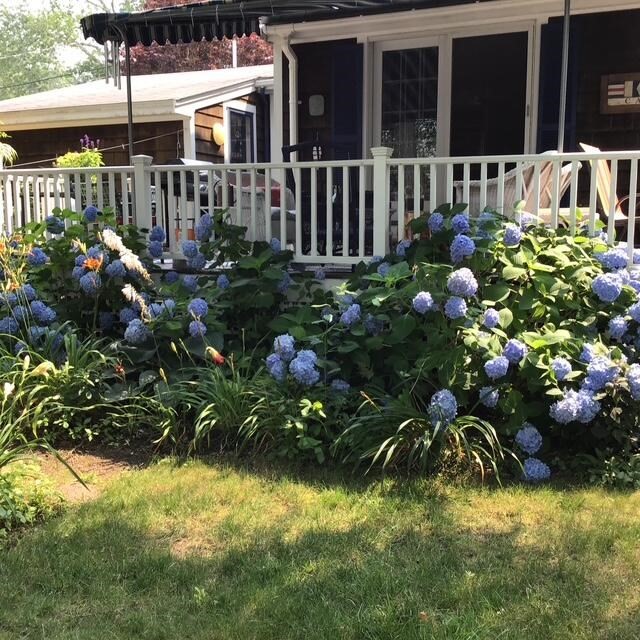 168 Ninigret Avenue Mashpee, MA 02649 - Photo 27 of 27