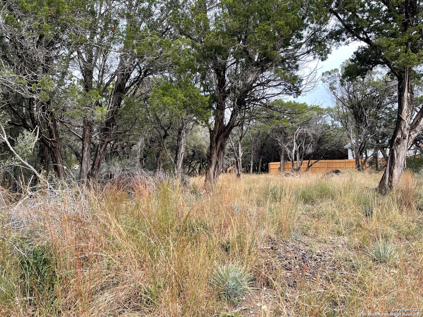 6383 Whartons Dock Road Bandera, TX 78003 - Photo 4 of 7 a view of snow covered with trees