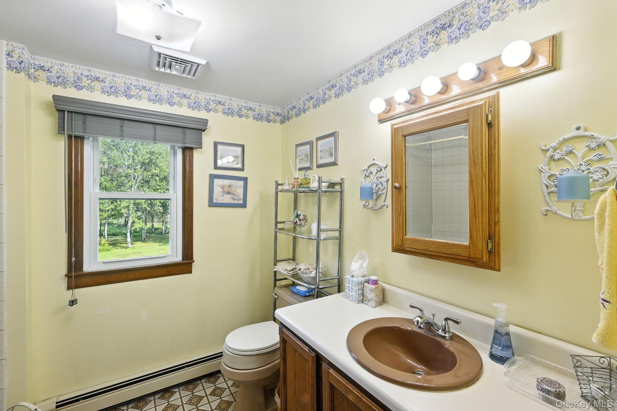 220 North Parliman Road LaGrangeville, NY 12540 - Photo 20 of 41 a bathroom with a sink a mirror and a toilet