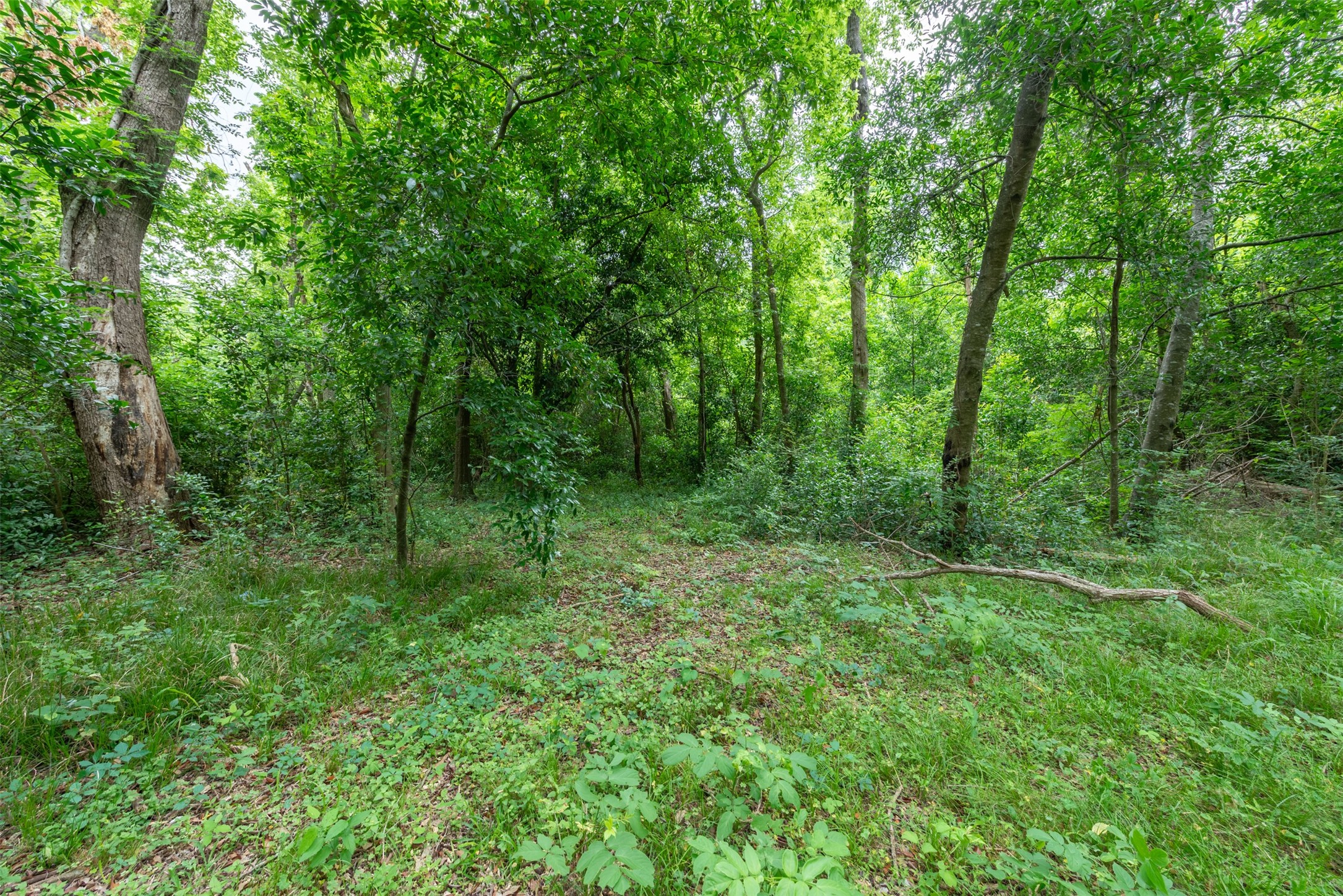 4102 Kinkaid Street Houston, TX 77093 - Photo 18 of 22