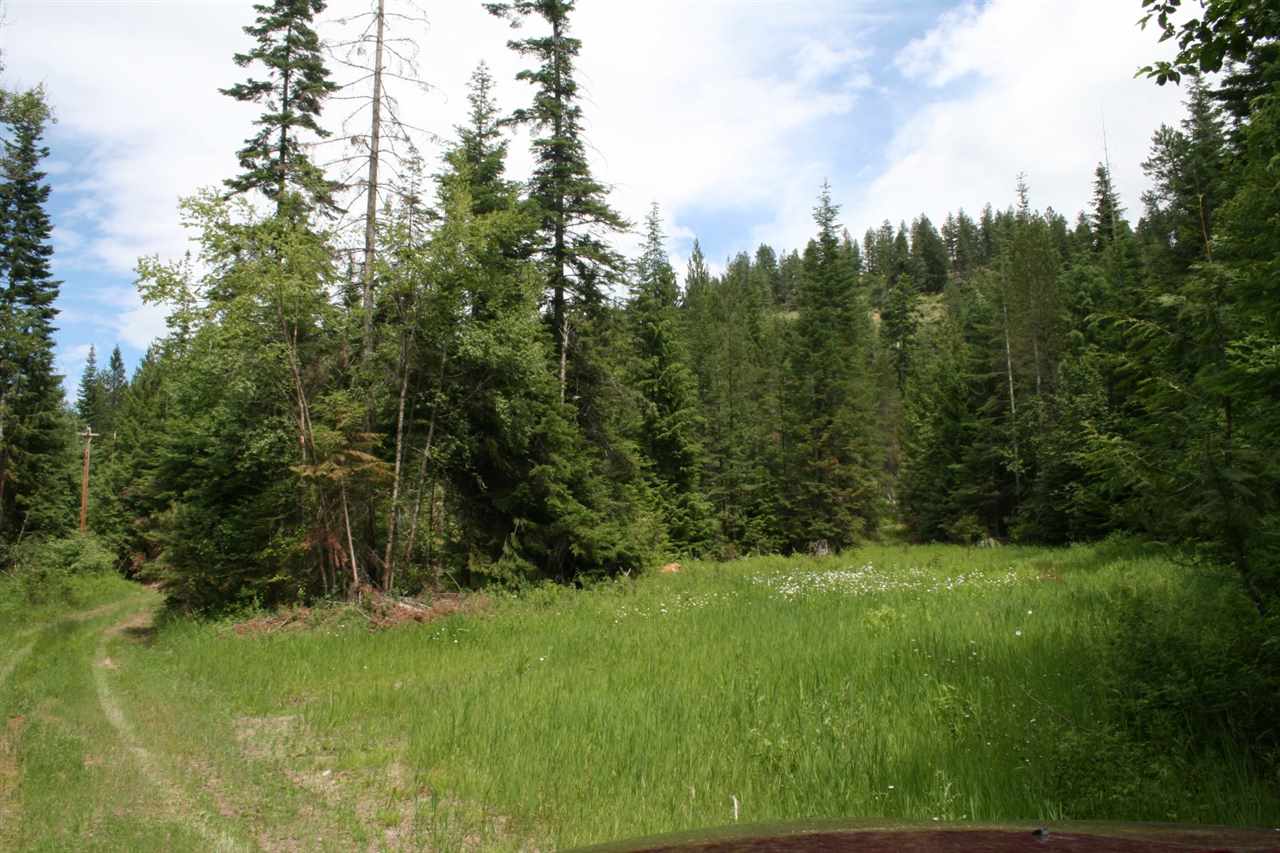 0 Redman Road Clayton, WA 99110 - Photo 1 of 20
