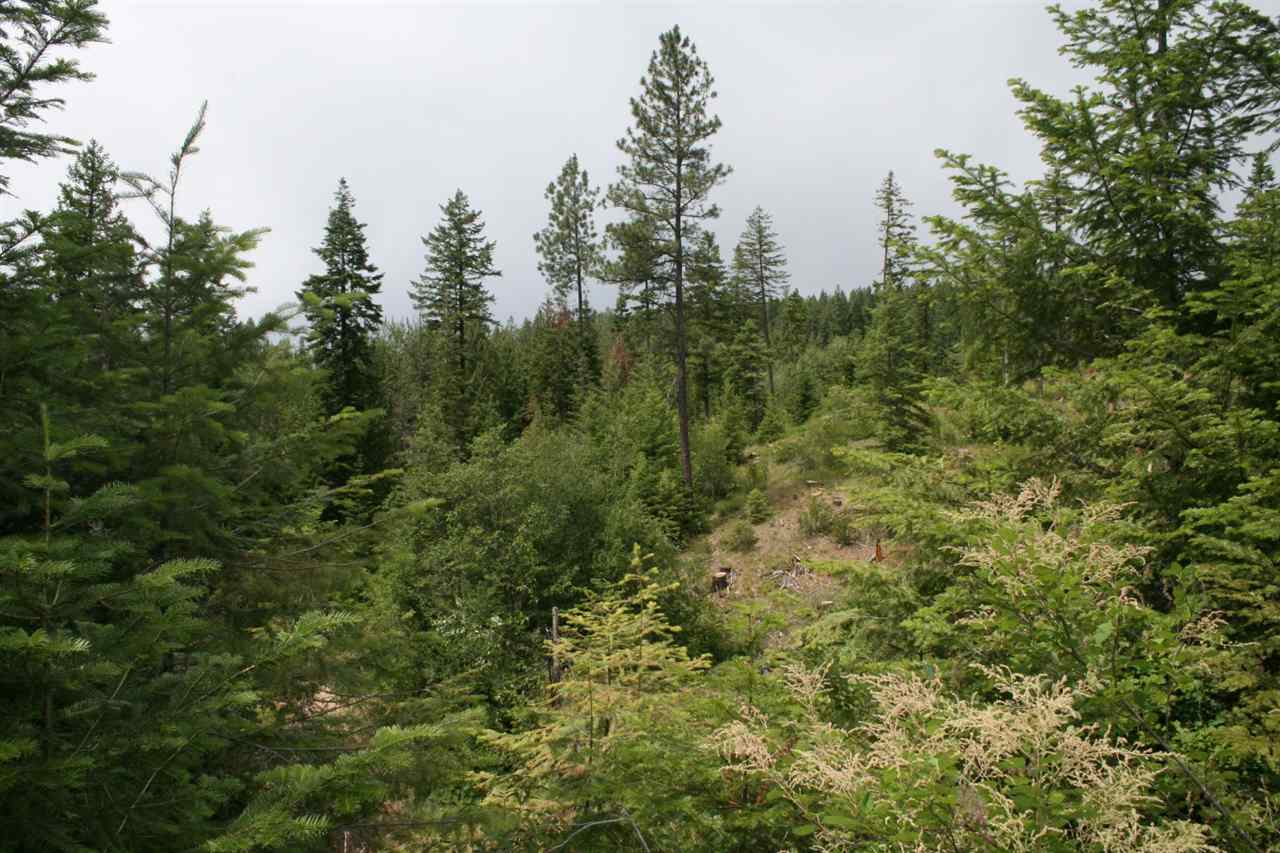 0 Redman Road Clayton, WA 99110 - Photo 15 of 20