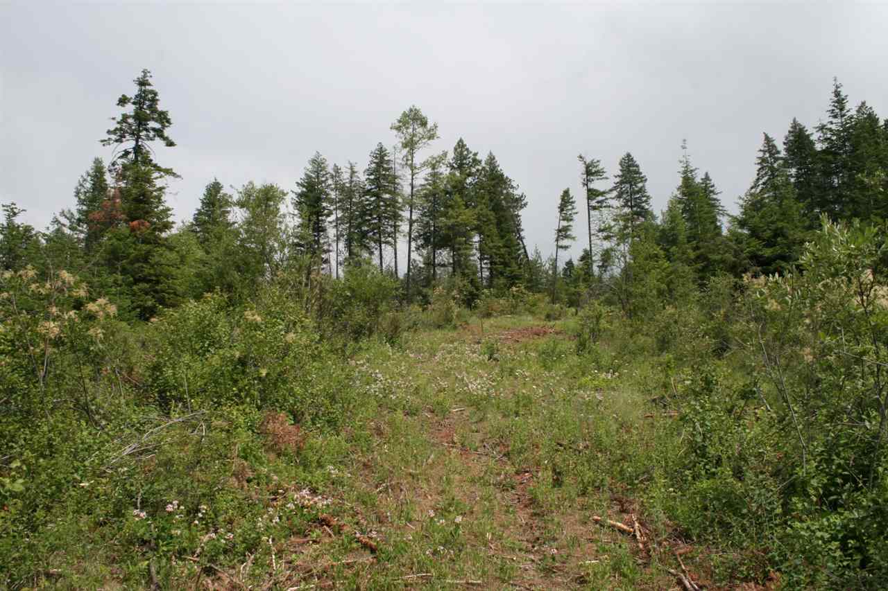 0 Redman Road Clayton, WA 99110 - Photo 17 of 20