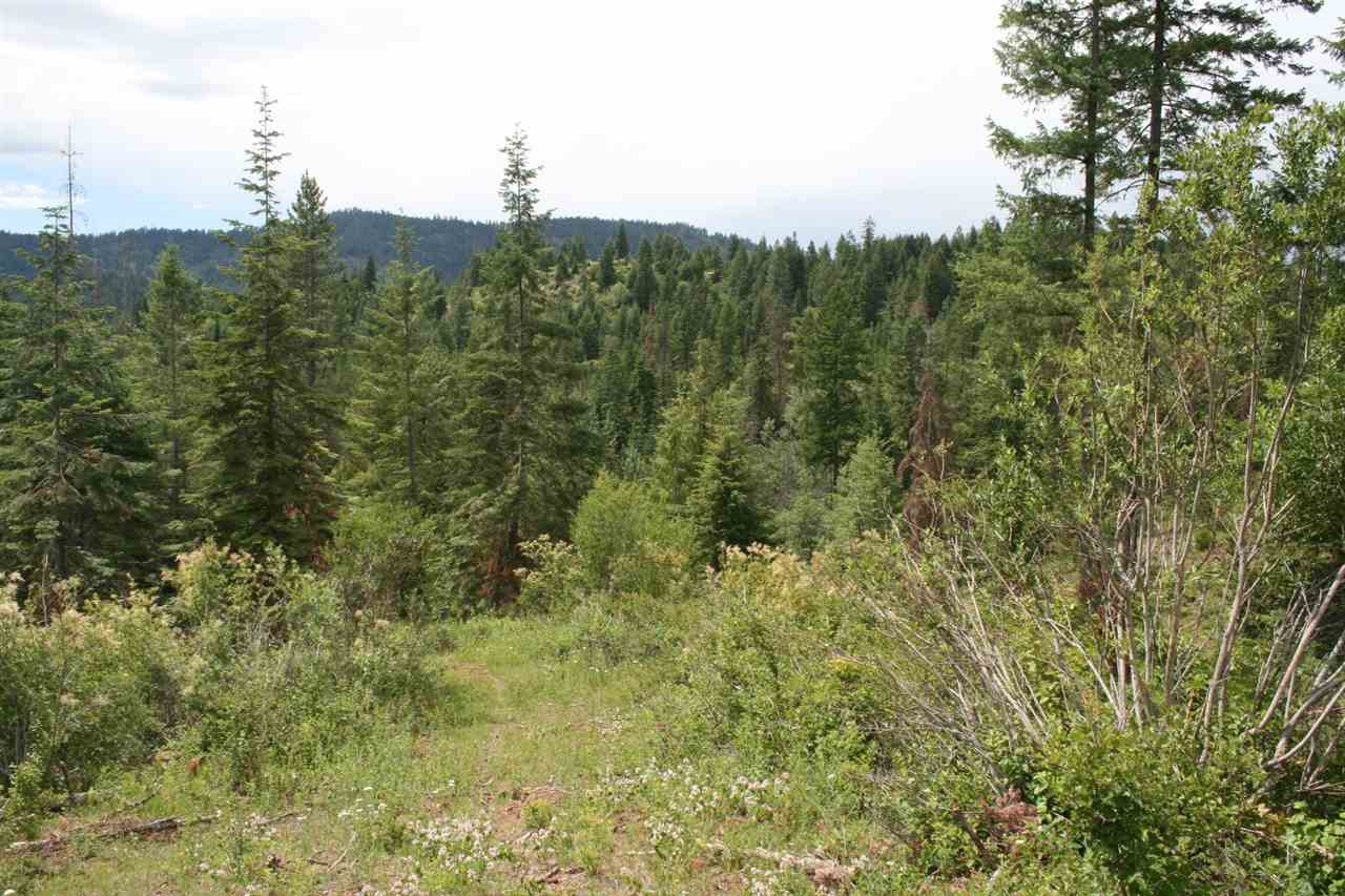 0 Redman Road Clayton, WA 99110 - Photo 19 of 20