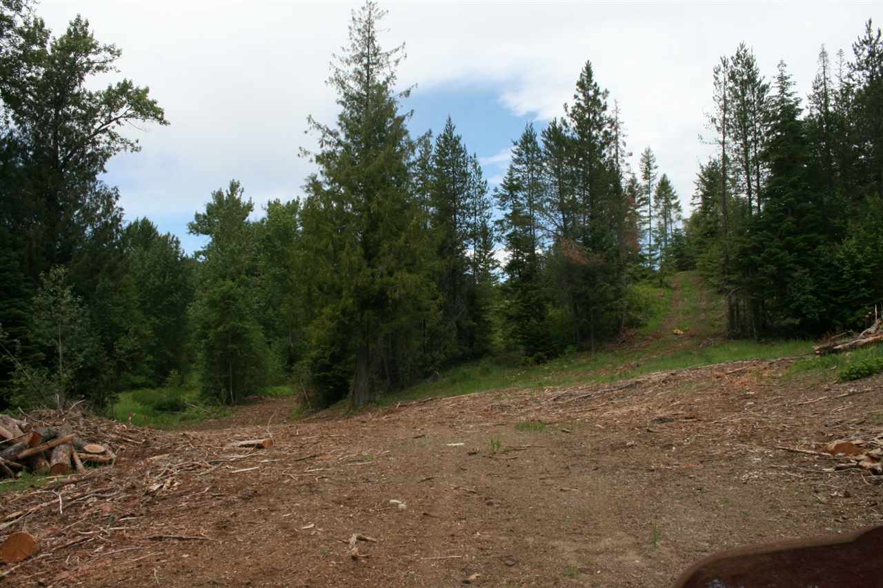 0 Redman Road Clayton, WA 99110 - Photo 6 of 20