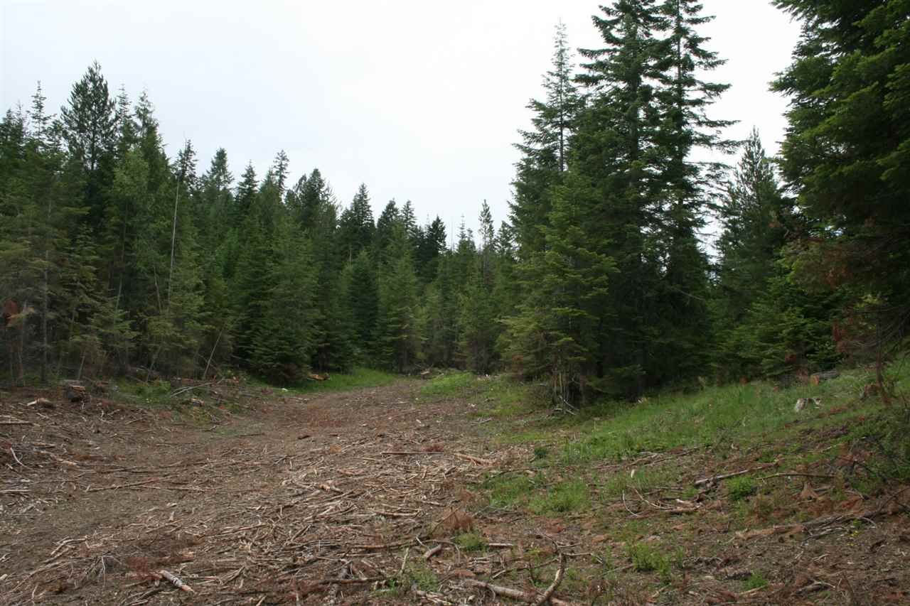 0 Redman Road Clayton, WA 99110 - Photo 7 of 20