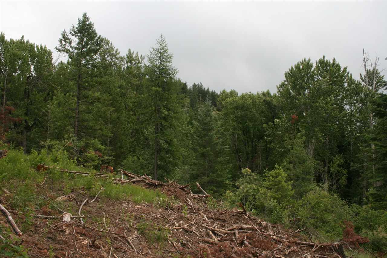 0 Redman Road Clayton, WA 99110 - Photo 9 of 20