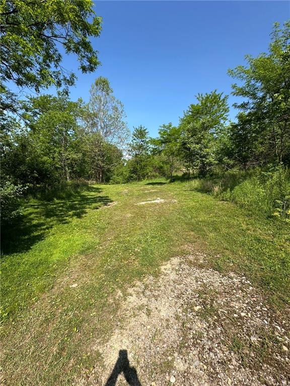 0 East McMurray Road Venetia, PA 15367 - Photo 7 of 12 a view of a field with an trees
