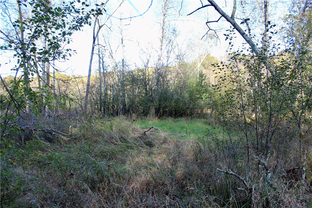 0 South Lowes Creek Road Eau Claire, WI 54701 - Photo 28 of 59