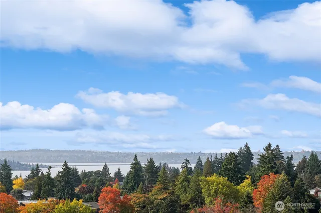 a view of a lot of trees