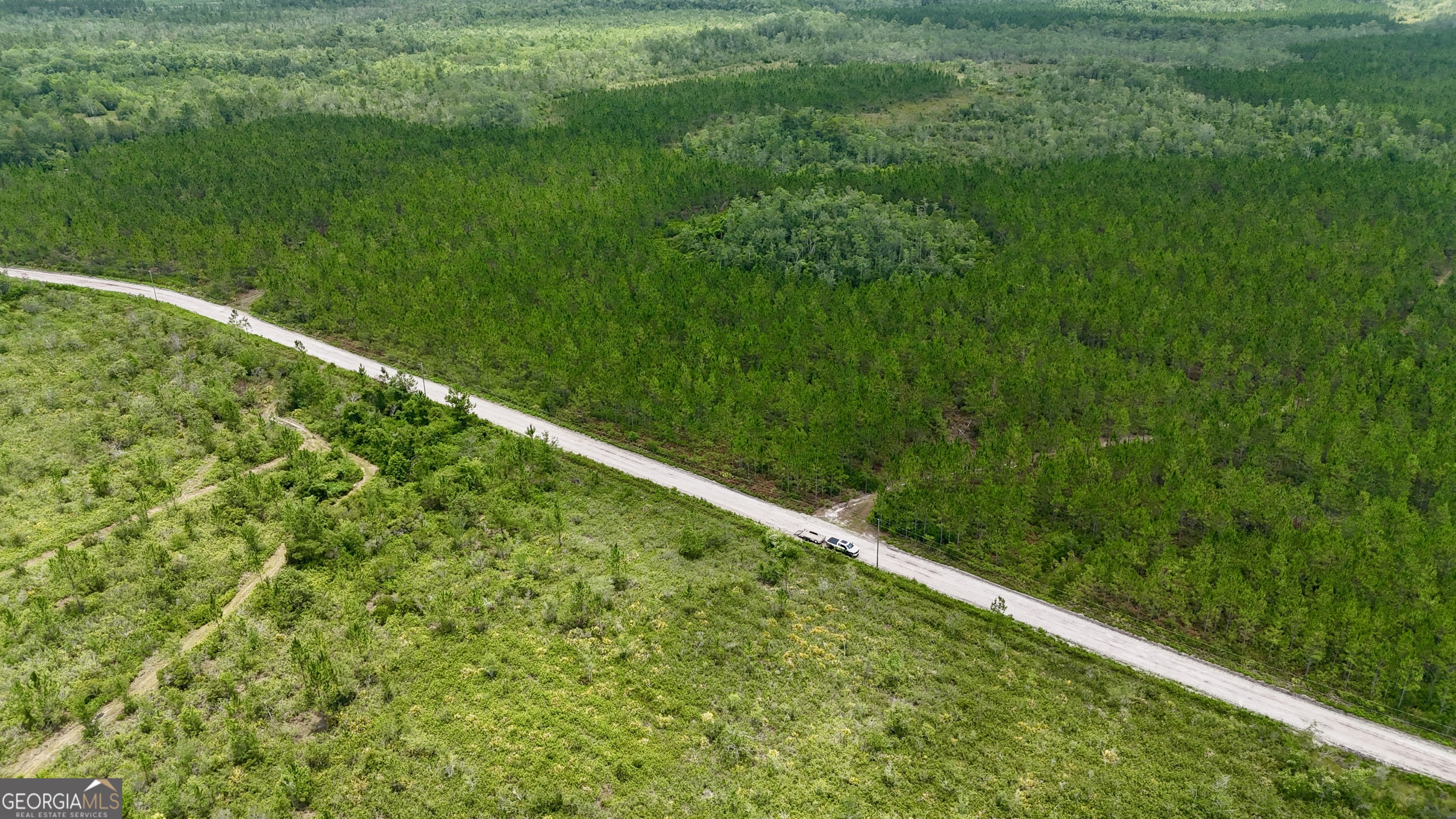 a yard with green field