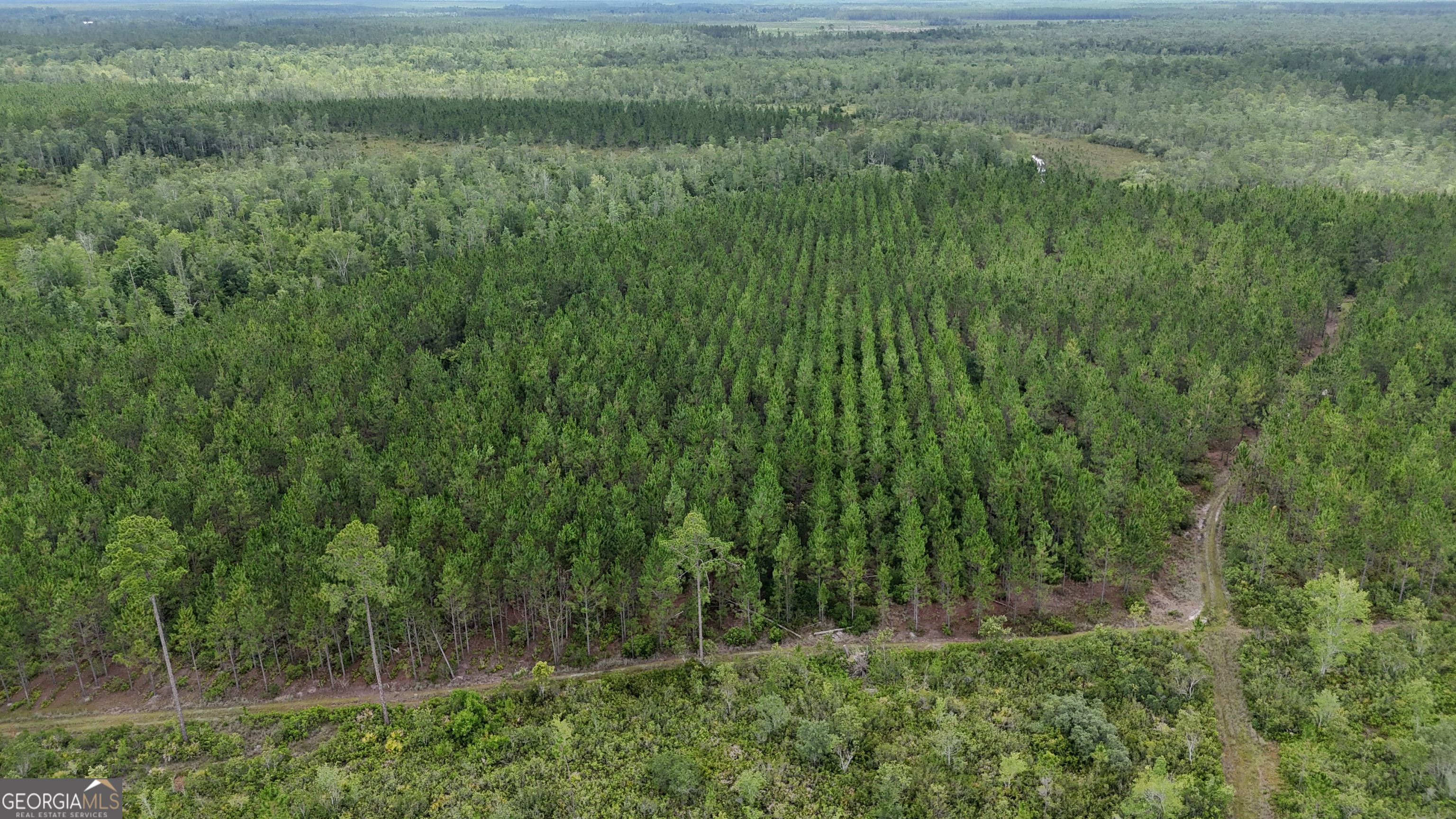 0 Fire Tower Road Manor, GA 31550 - Photo 2 of 6 a view of a lush green space