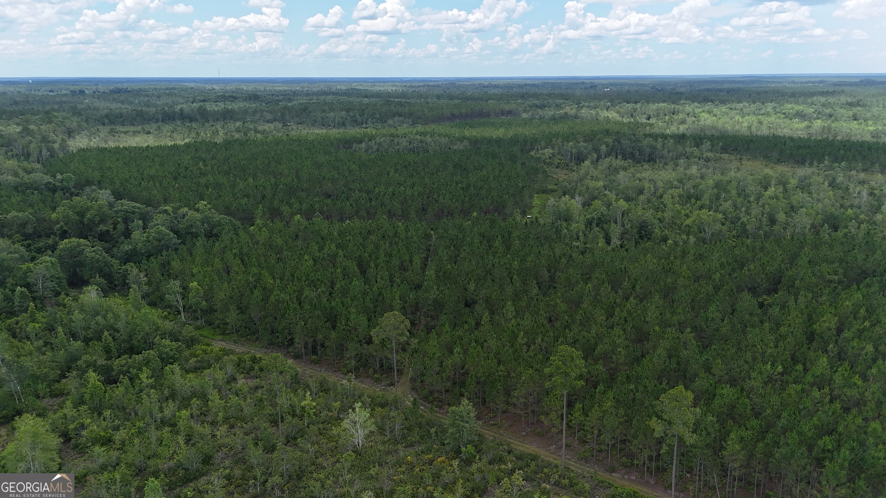 0 Fire Tower Road Manor, GA 31550 - Photo 3 of 6 a view of a field with an outdoor space