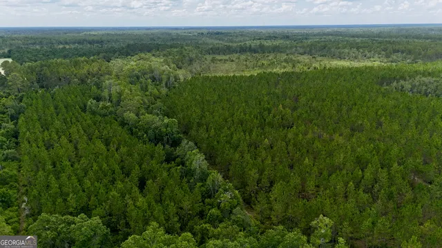 a view of a lush green space