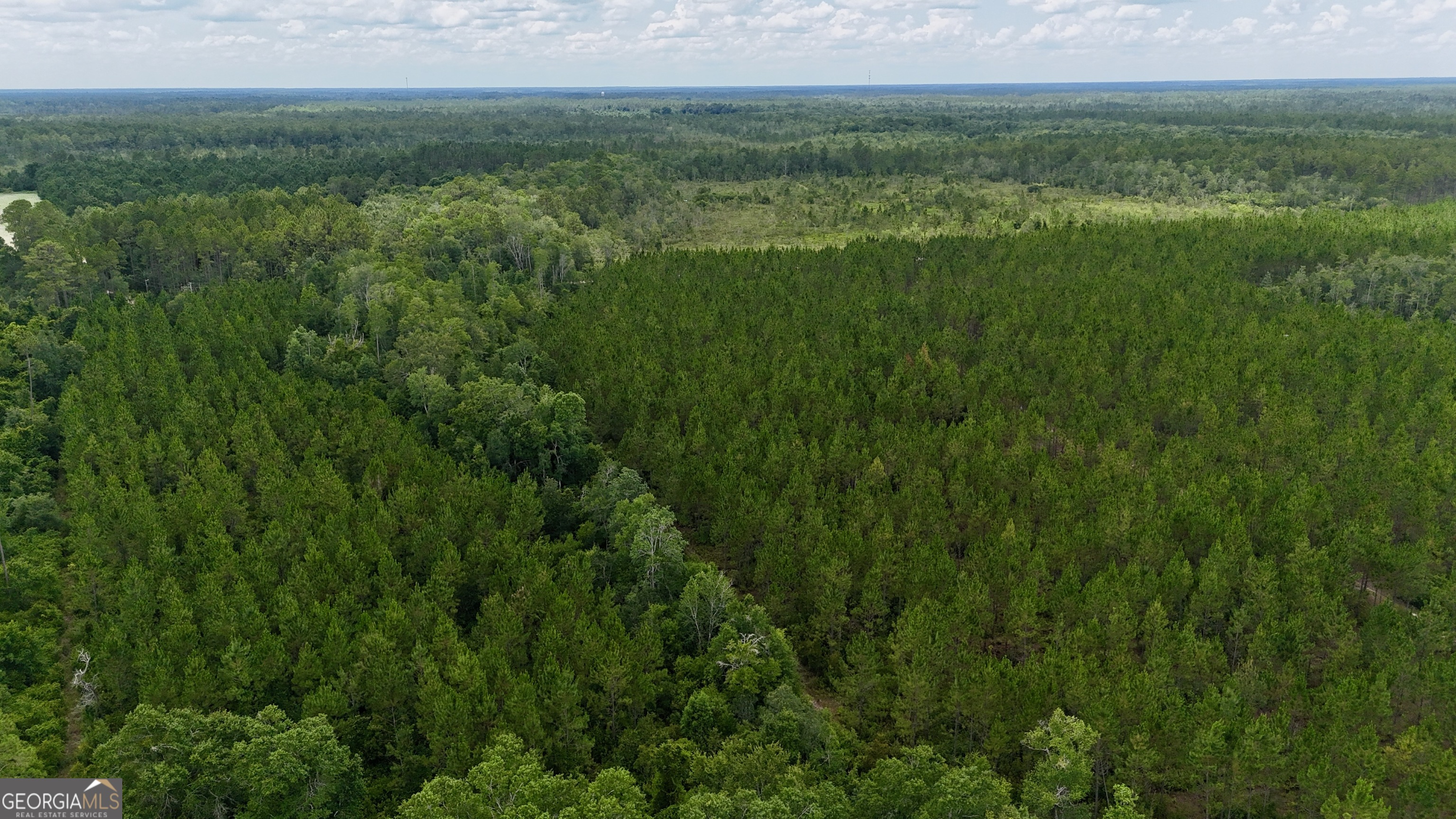 0 Fire Tower Road Manor, GA 31550 - Photo 4 of 6 a view of a lush green space