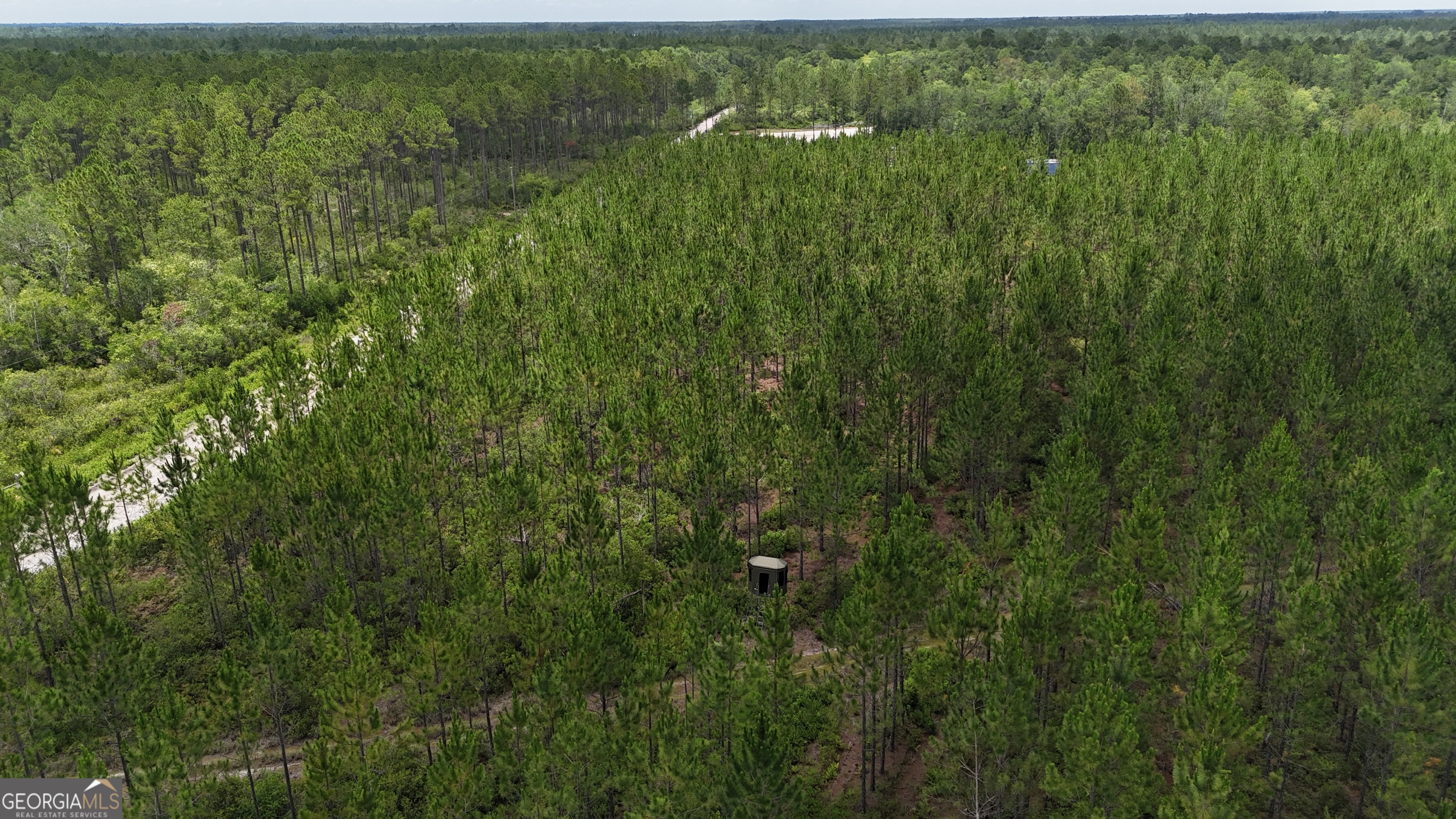 0 Fire Tower Road Manor, GA 31550 - Photo 5 of 6 a view of a city