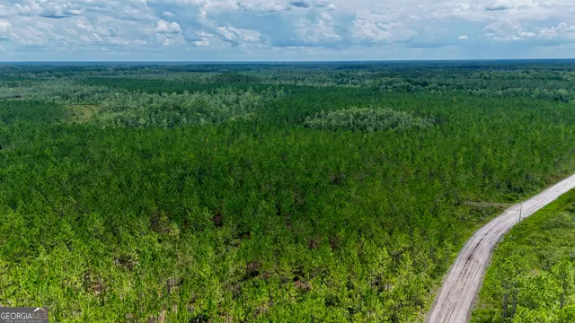 a view of a lush green space