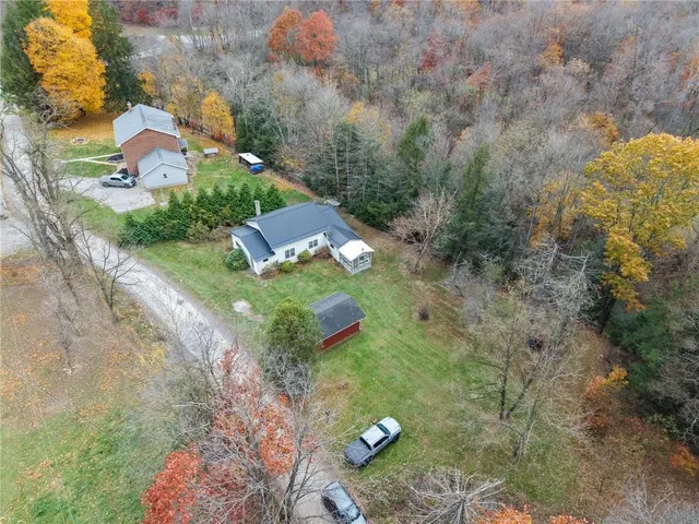 a view of a yard with plants