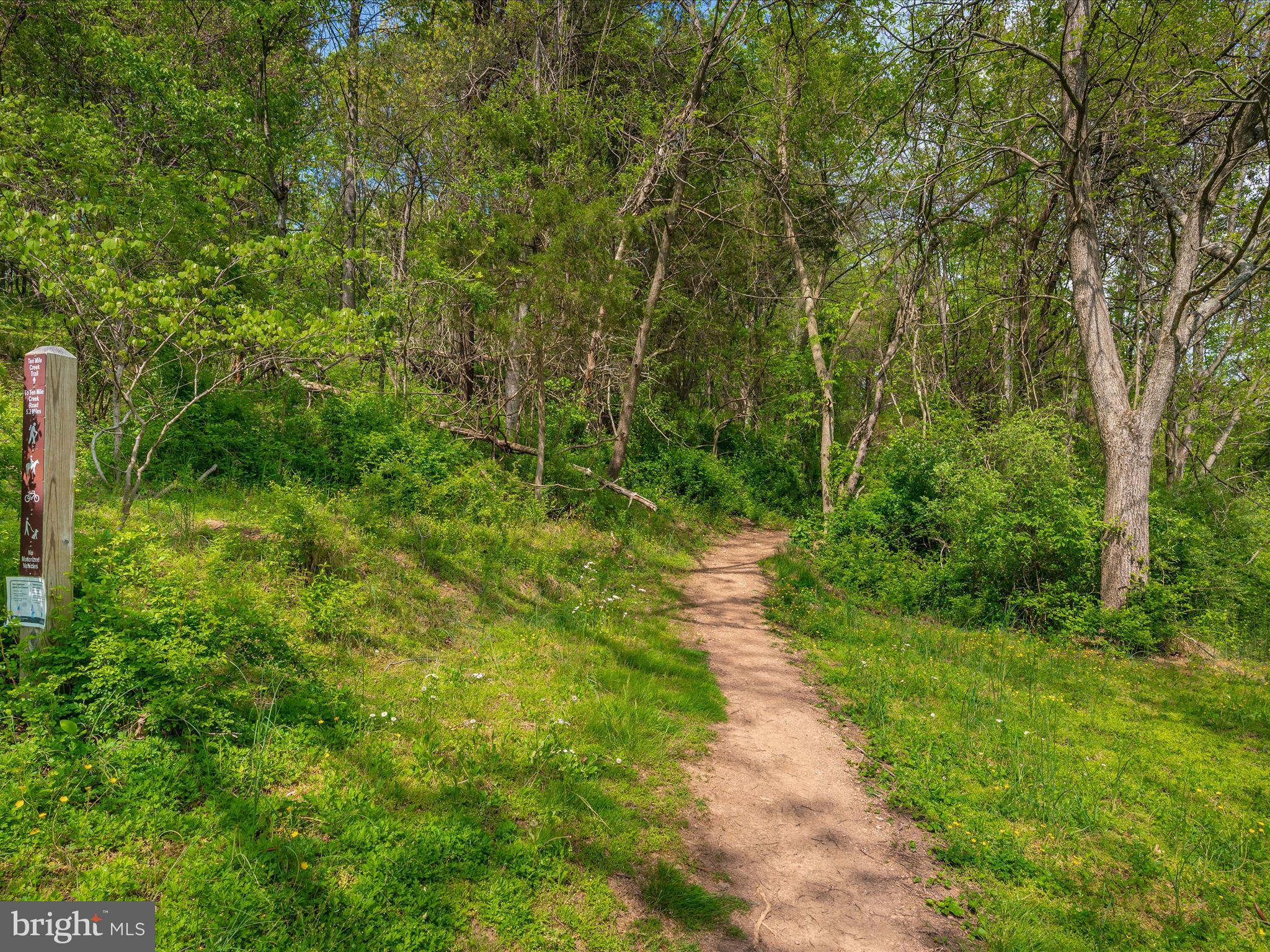 15321 Barnesville Road Boyds, MD 20841 - Photo 73 of 79 Trail