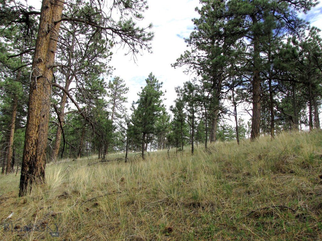 Tbd Tbd Wild Turkey Ridge Road Columbus, MT 59019 - Photo 44 of 55 Gallery Image 44