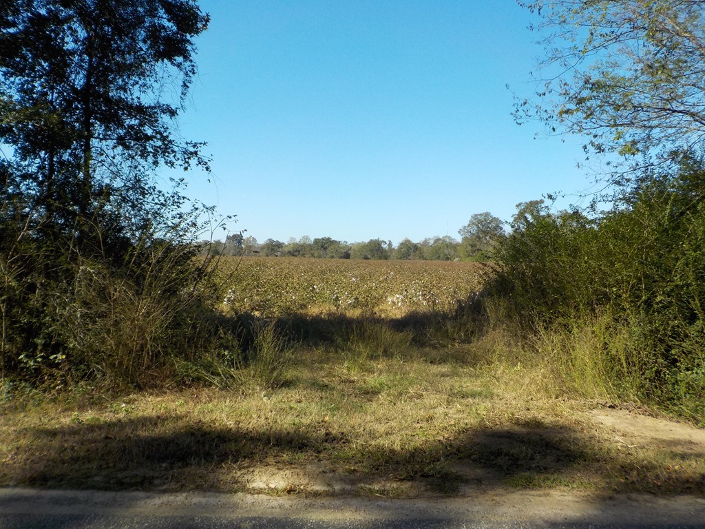 65.49-ac Drew Road Dothan, AL 36301 - Photo 19 of 29