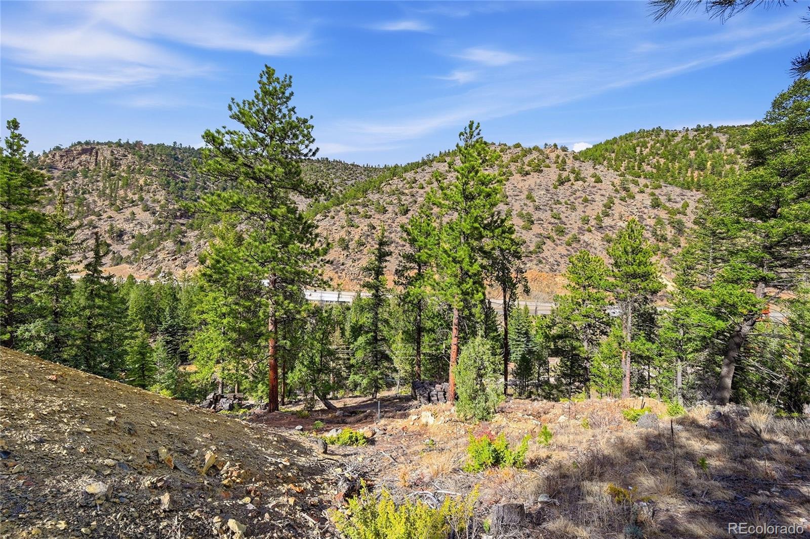 2238 Stanley Road Dumont, CO 80436 - Photo 11 of 20 a view of a yard with a tree