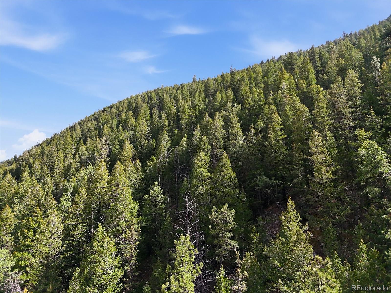 2238 Stanley Road Dumont, CO 80436 - Photo 12 of 20 a view of a green field
