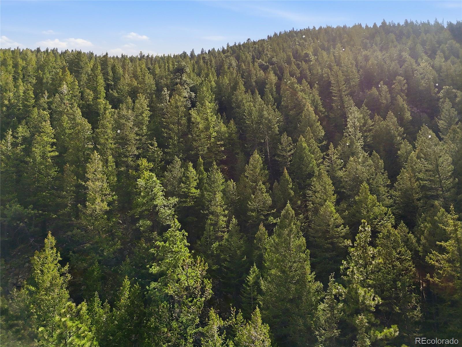 2238 Stanley Road Dumont, CO 80436 - Photo 13 of 20 a view of a city with lush green forest