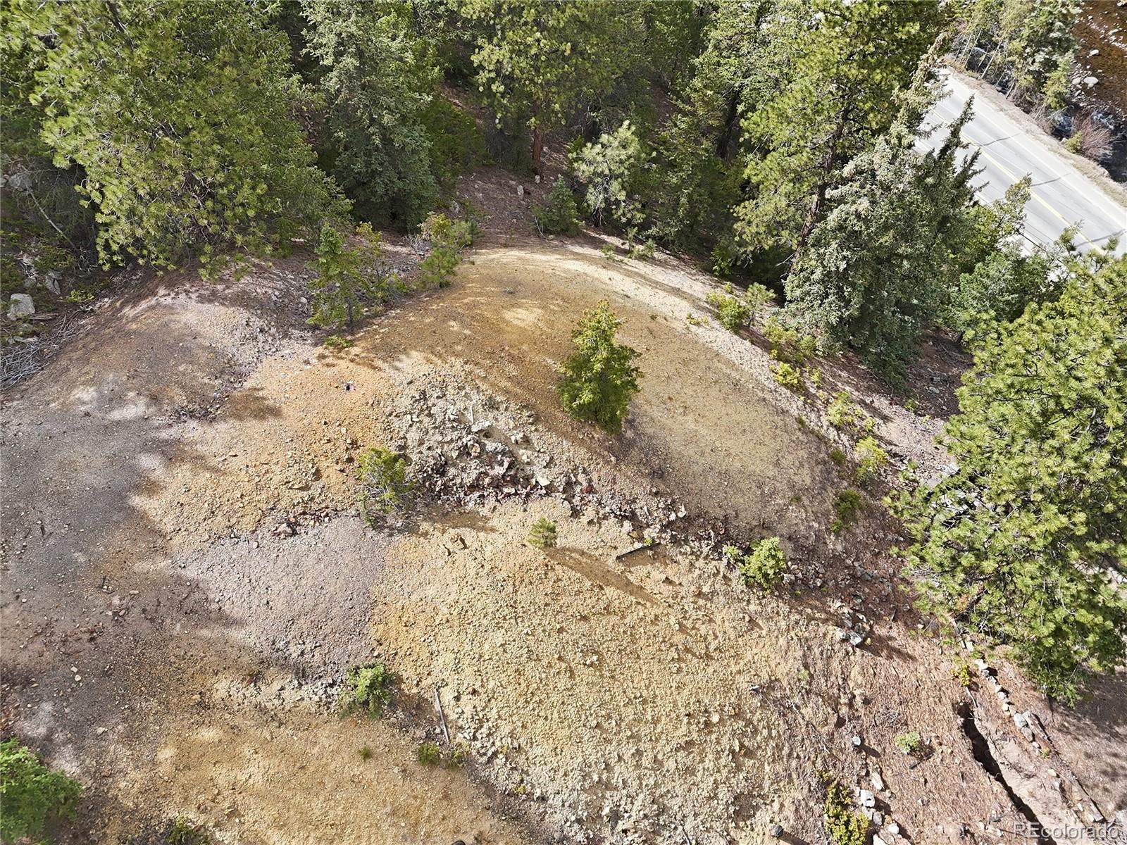 2238 Stanley Road Dumont, CO 80436 - Photo 7 of 20 a view of a yard with plants and trees