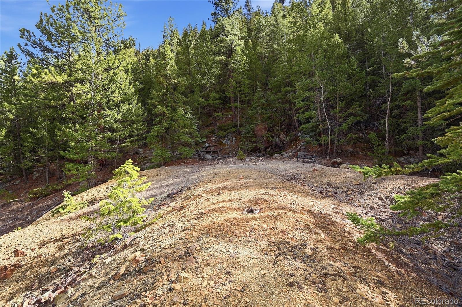 2238 Stanley Road Dumont, CO 80436 - Photo 8 of 20 a view of outdoor space and yard
