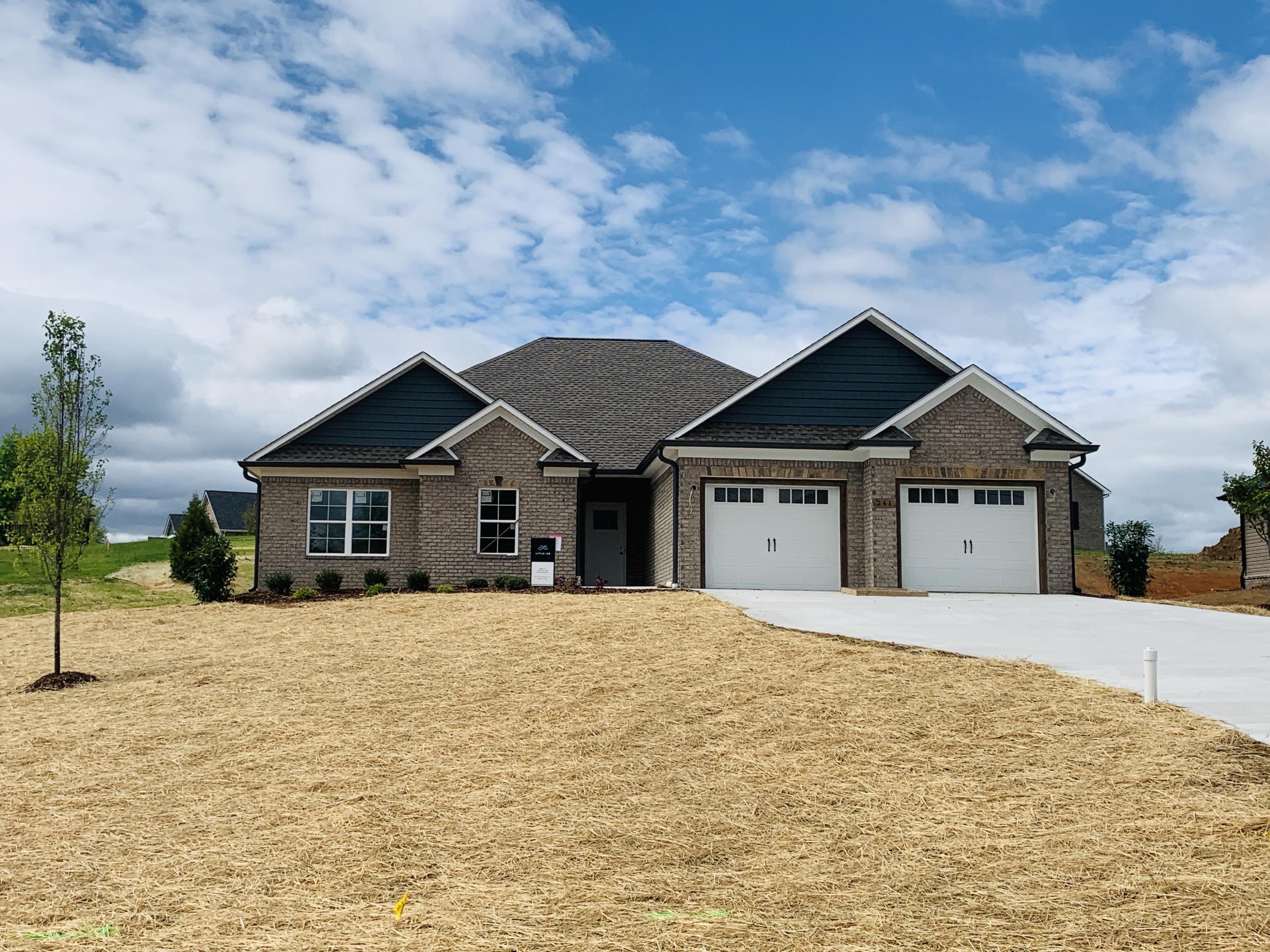 241 Allison Road Piney Flats, TN 37686 - Photo 1 of 10 IMG_7106