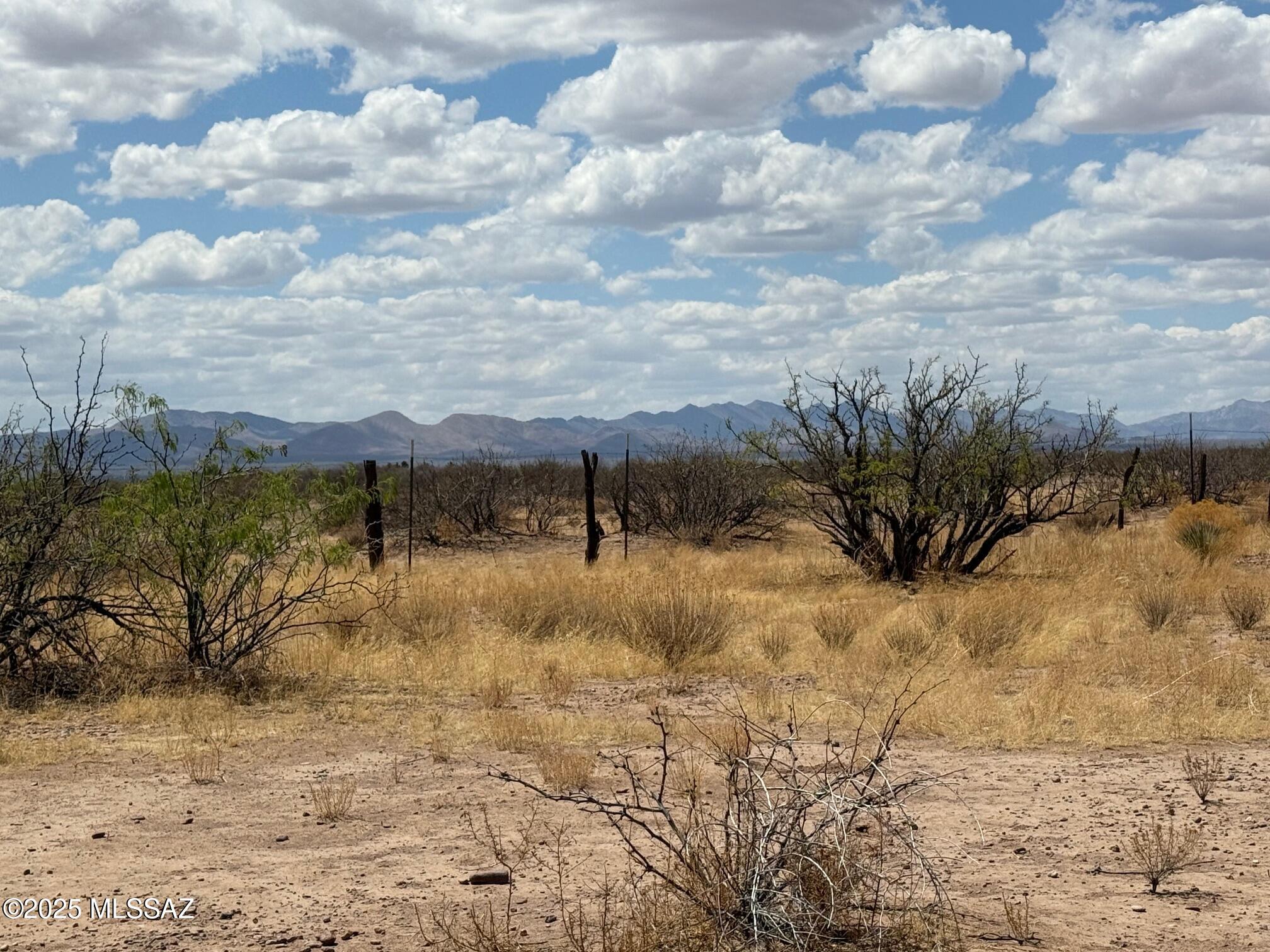 80-ac West Gleeson Road Elfrida, AZ 85610 - Photo 9 of 12 Gallery Image 9