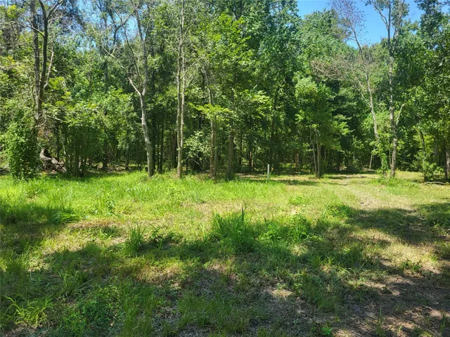 a view of a park with large trees