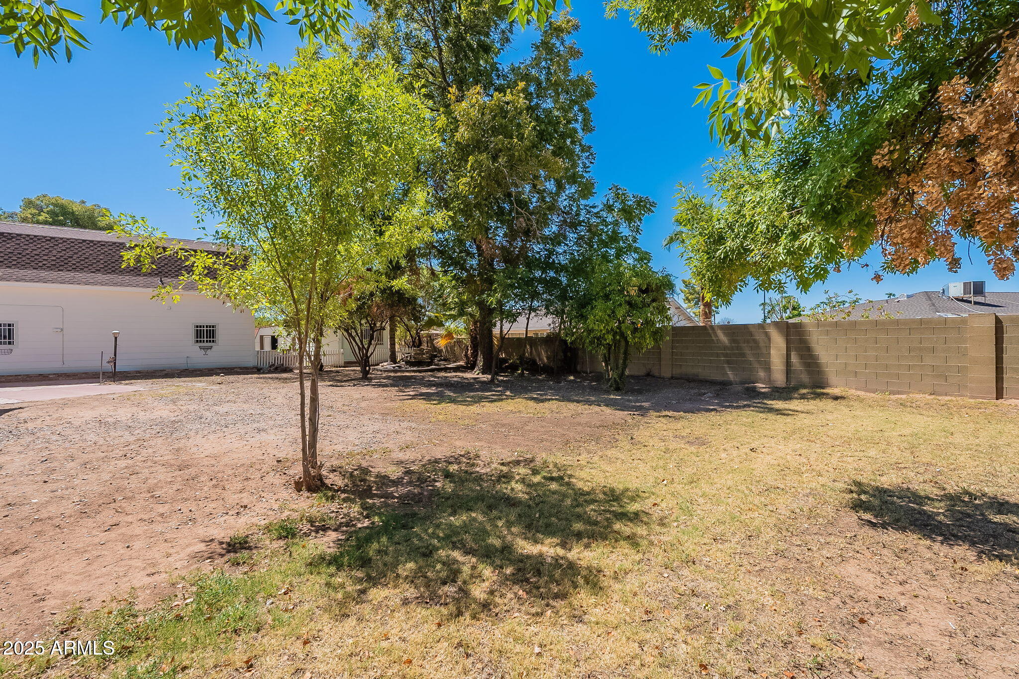 2353 East Brown Road Mesa, AZ 85213 - Photo 13 of 86 Side yard